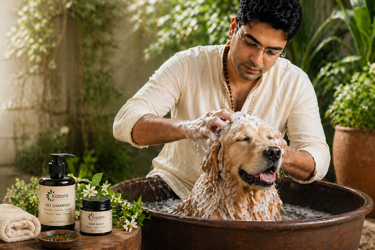 A dog relaxing after a bath with Kaami Naturalz